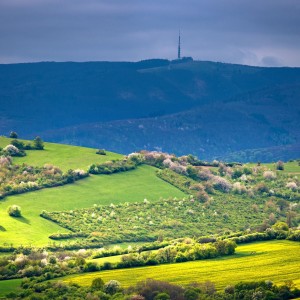 Mount Velka javorina on Spring