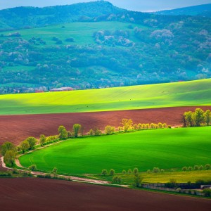Color symphony