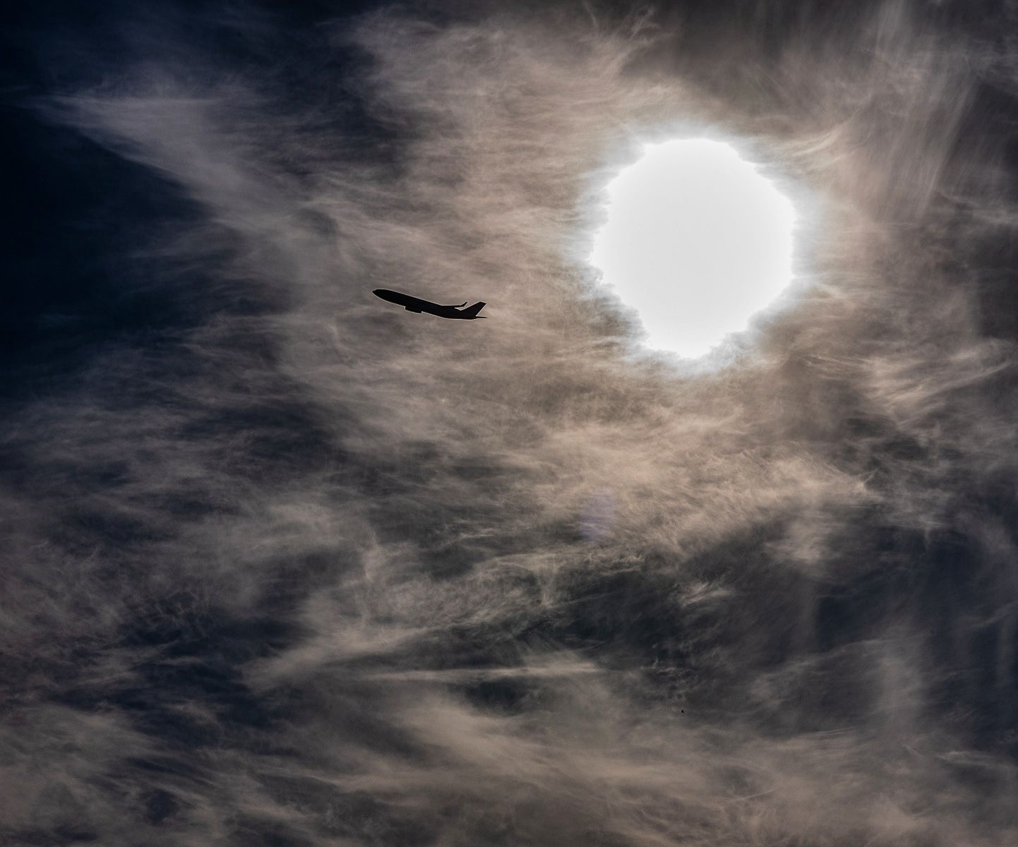 inbound8639438278457916766