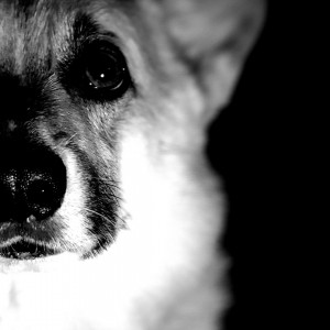 inbound2837724622884562776