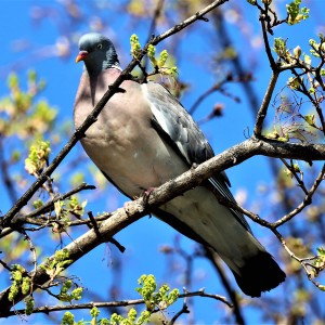 IMG_0772