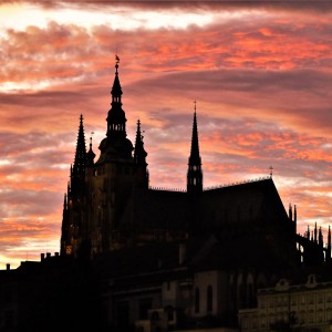IMG_8984