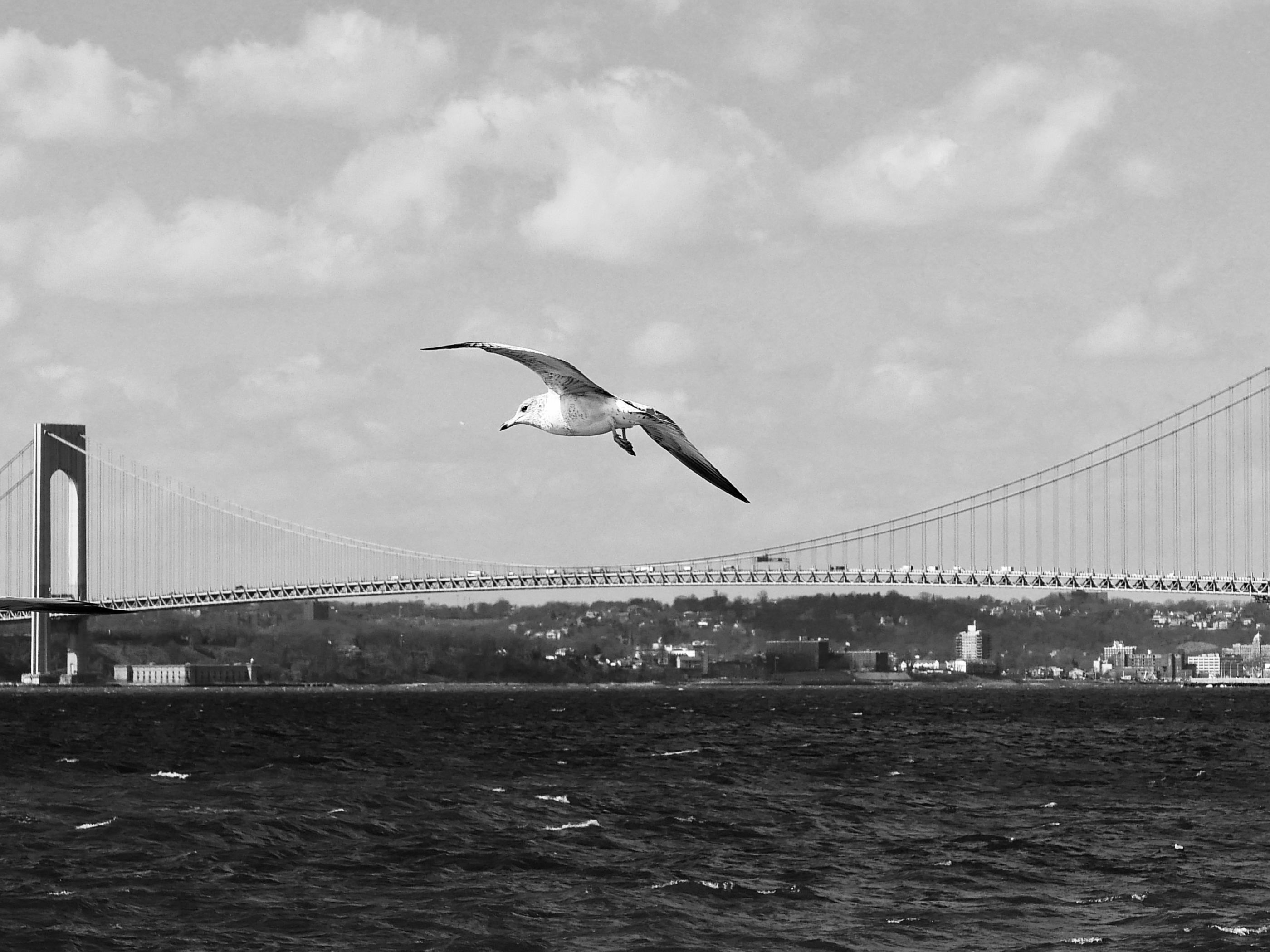 73B87D21-F8EE-4F24-A022-7CE6FBFDDD34