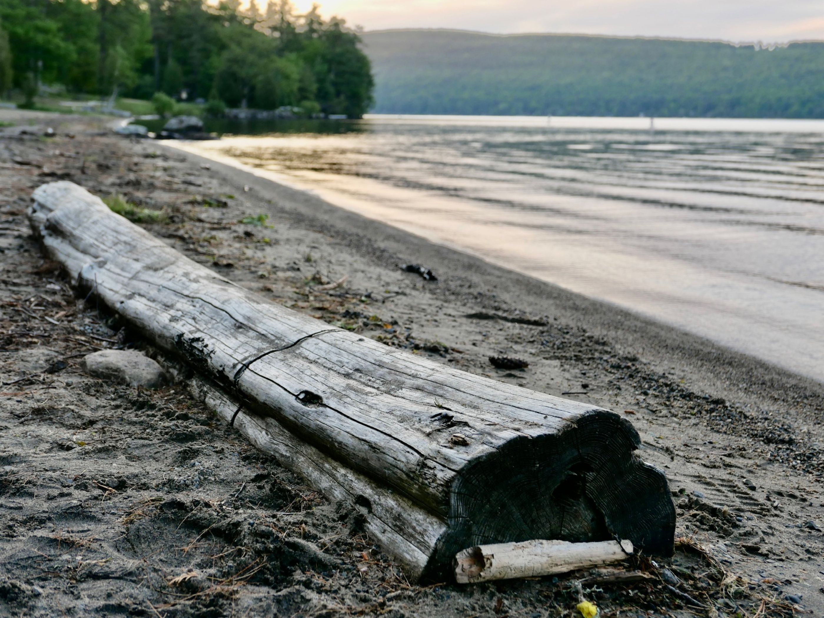 0F18EE39-C21E-49A6-B969-61213DA4A65B