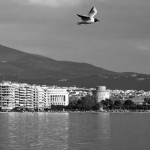 BCA935EF-AB40-42DB-B1E2-8B9915854300