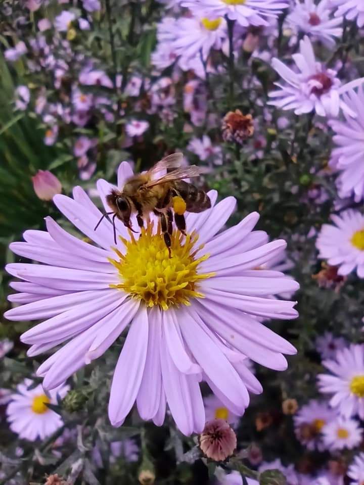 inbound542976086919074500