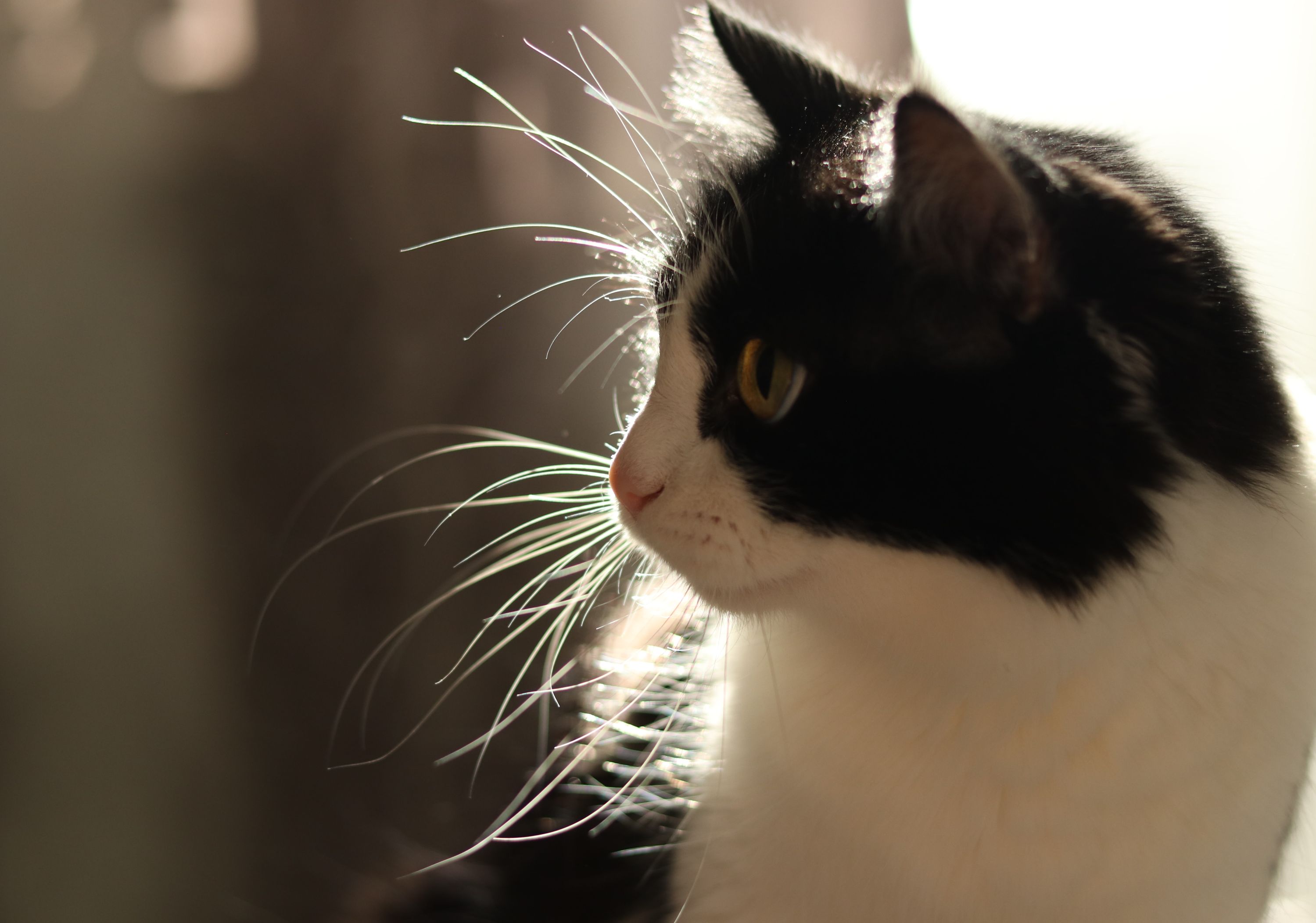 IMG_20240229_092628_316