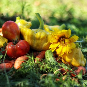 20220828155938_IMG_9399-01