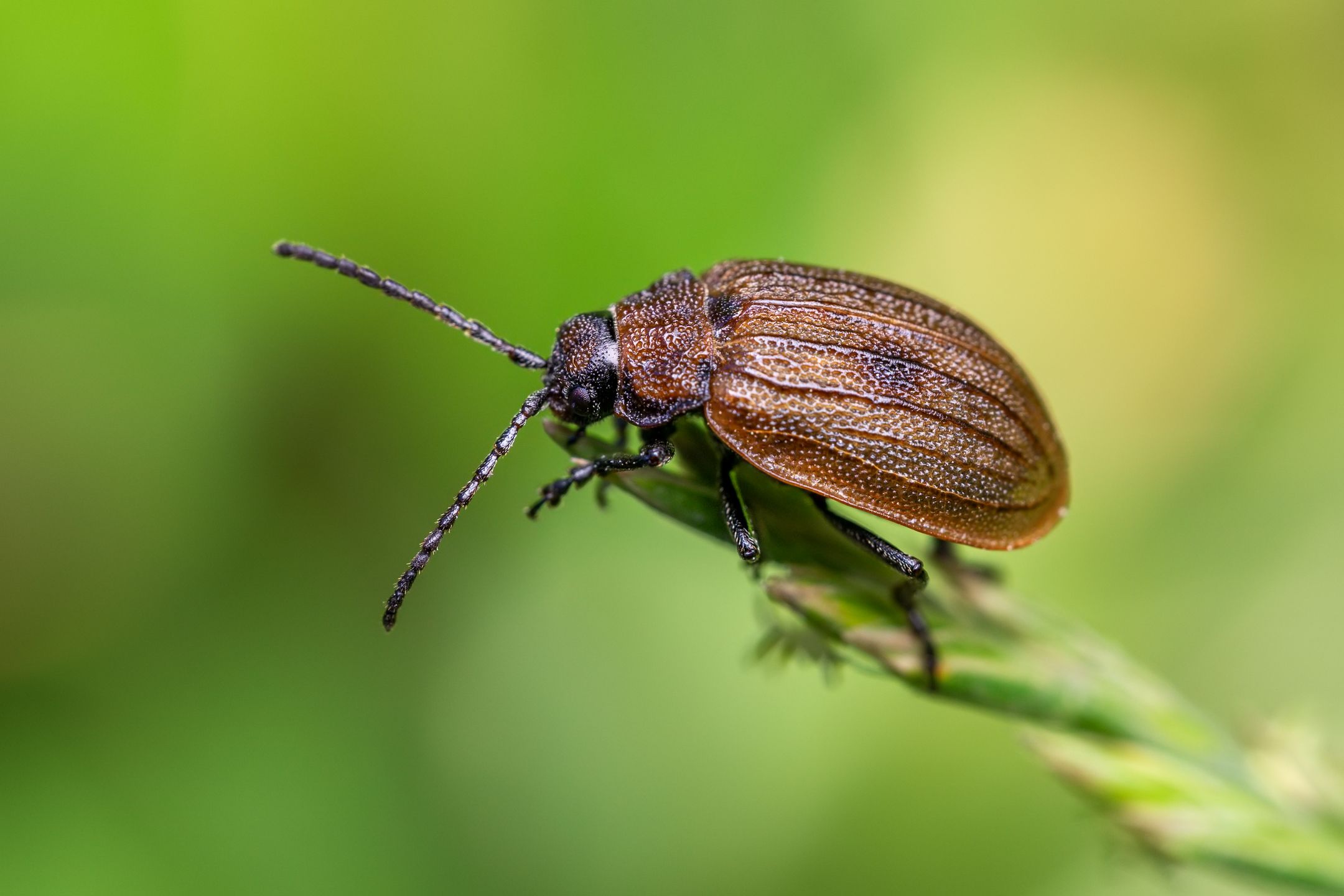 _MG_8240novýmeg_filtered