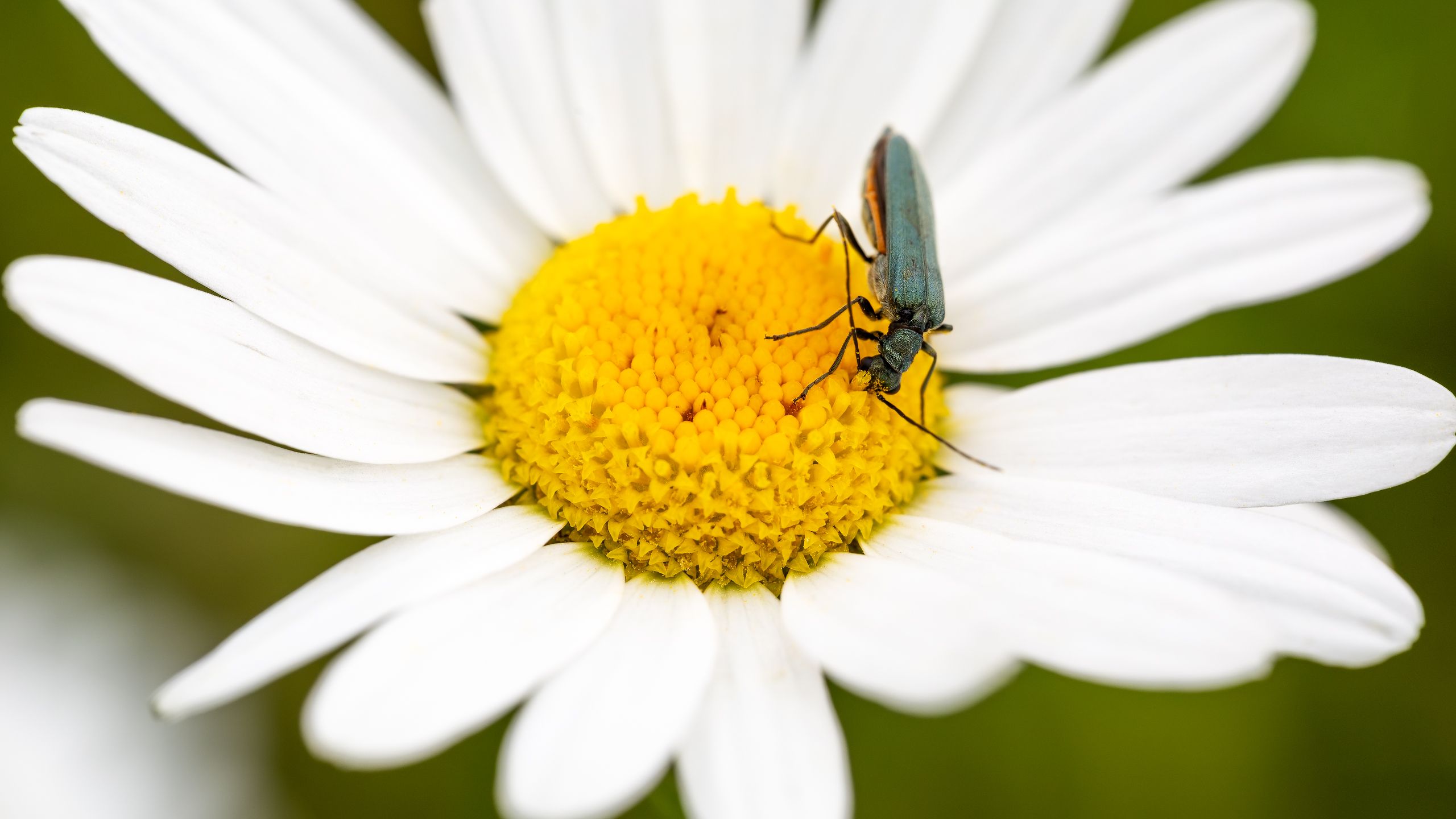 _MG_8319meg_filtered