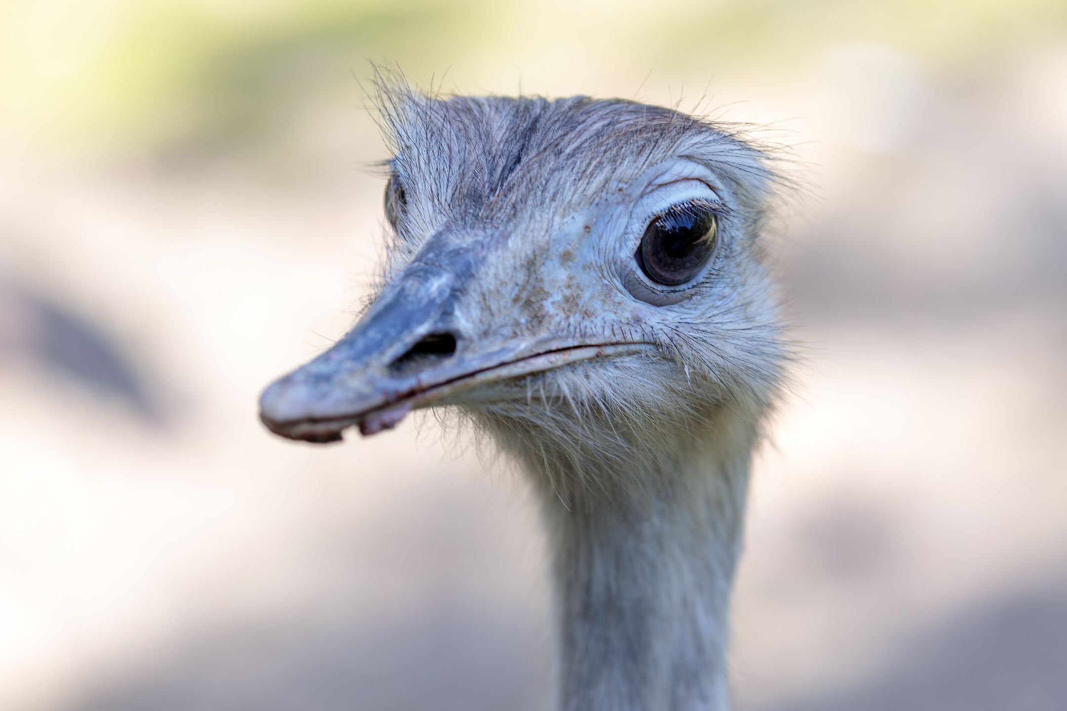 _MG_9289meg_filtered