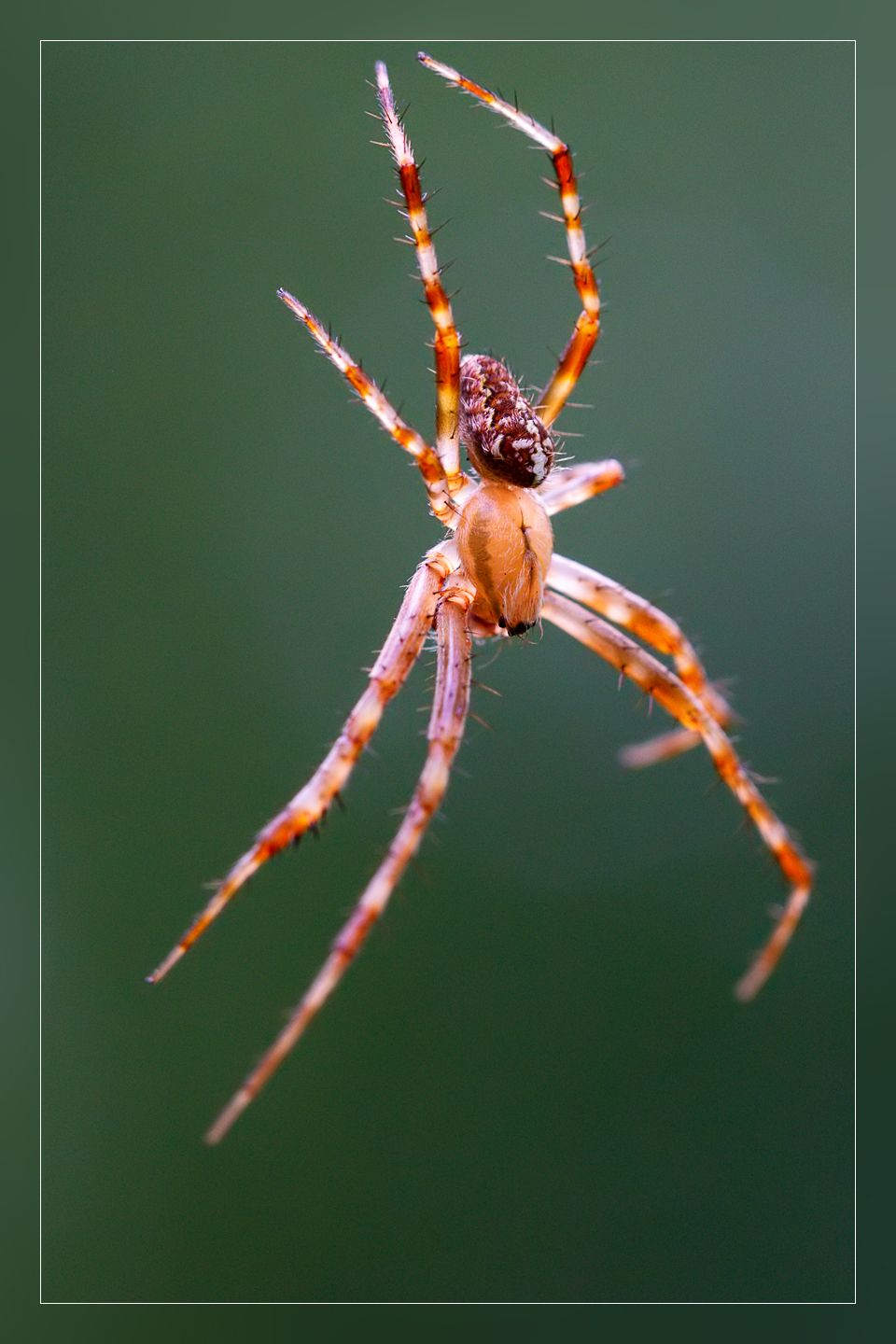 IMG_9221nový_filtered