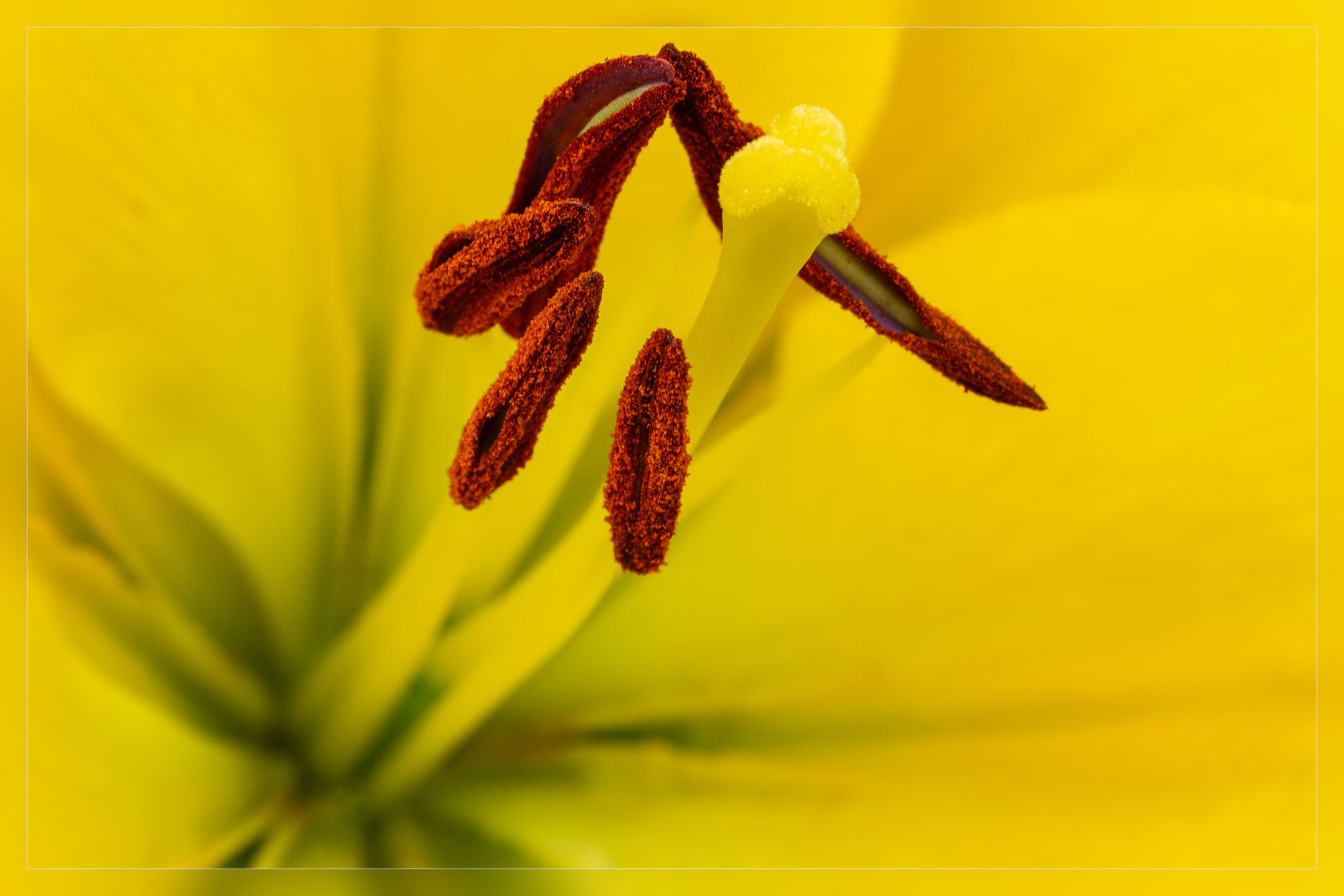 IMG_1074nový_filtered