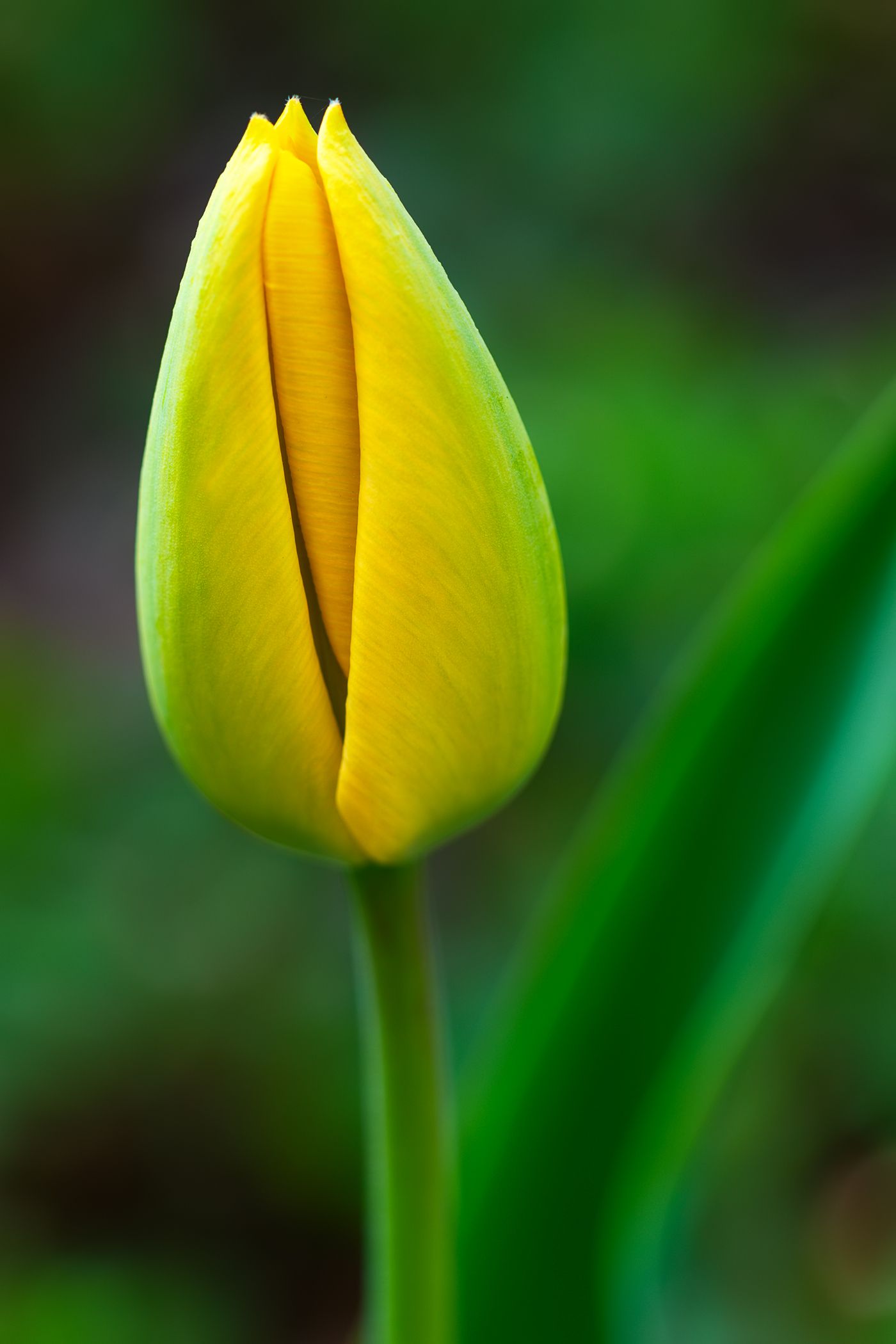 IMG_0648novýmeg_filtered