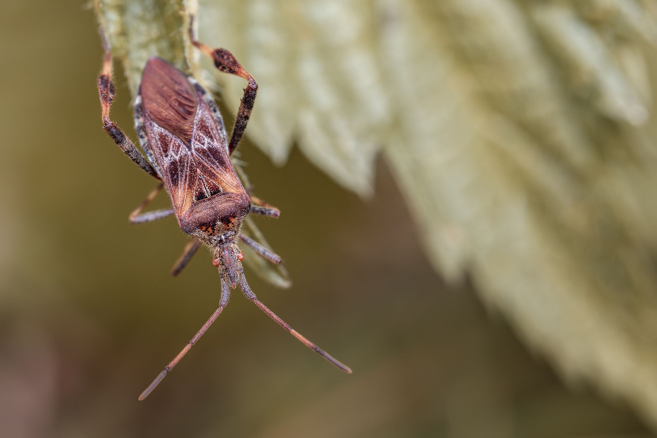 _MG_9717novýmeg_filtered