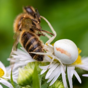 _MG_8286meg_filtered