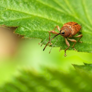 _MG_7108meg_filtered