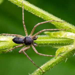 _MG_7405meg_filtered