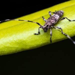 _MG_7923nový_megfiltered