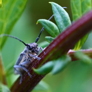 IMG_8912meg_filtered