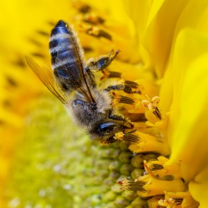 IMG_9008meg_filtered