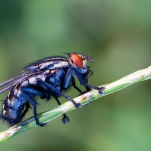 IMG_9116novýmeg_filtered