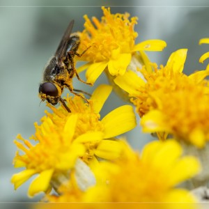 _MG_8588_filtered