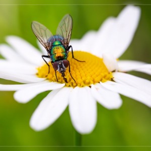 _MG_8187_filtered