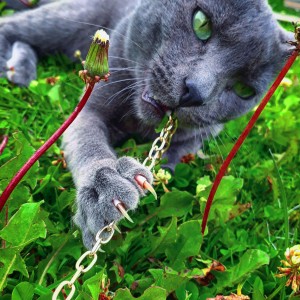 inbound3638362131381266166