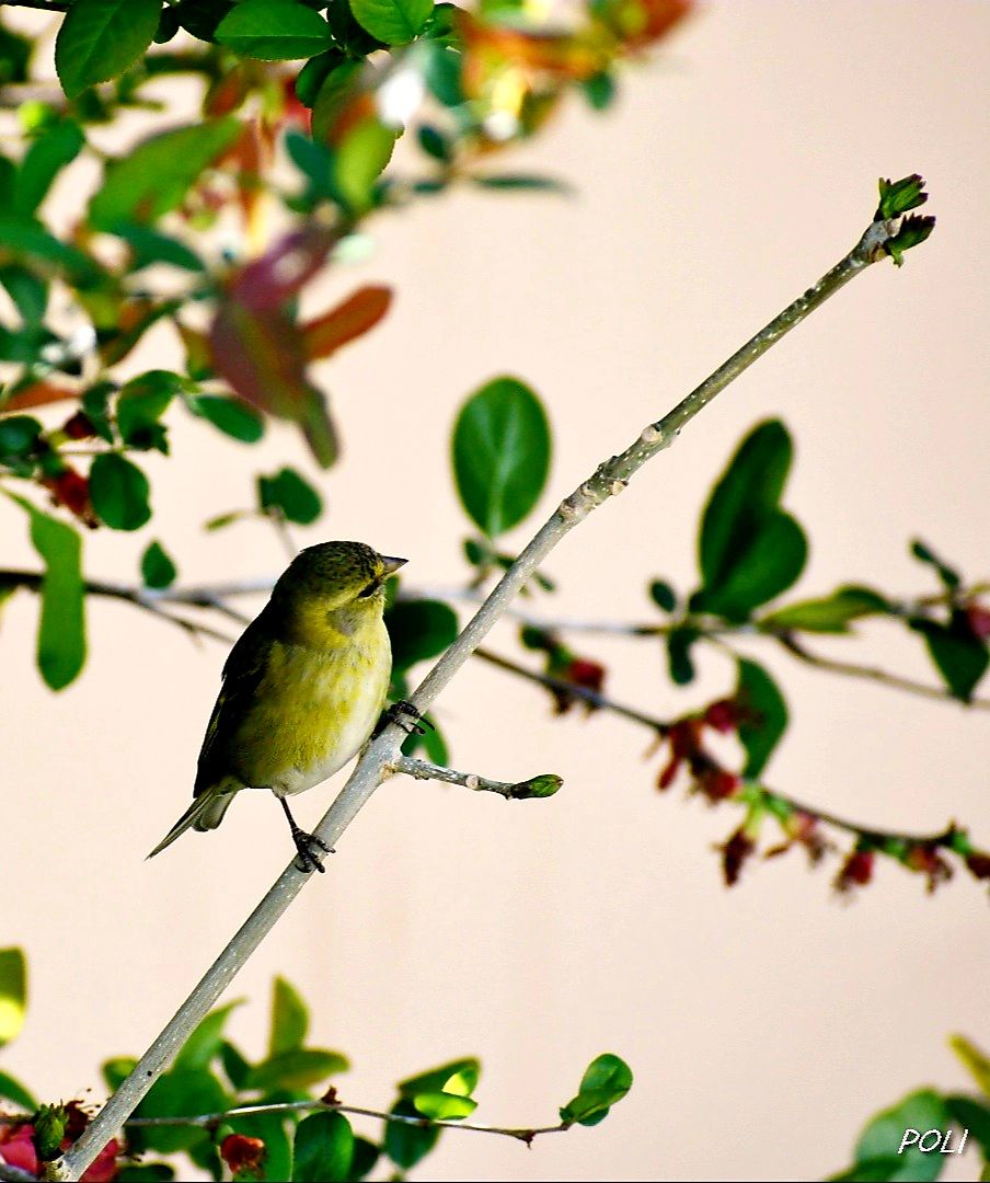 inbound8815522122874536871