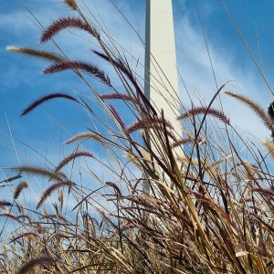 Obelisco, Buenos Aires (Argentina)