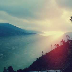 inbound8861312413903610066