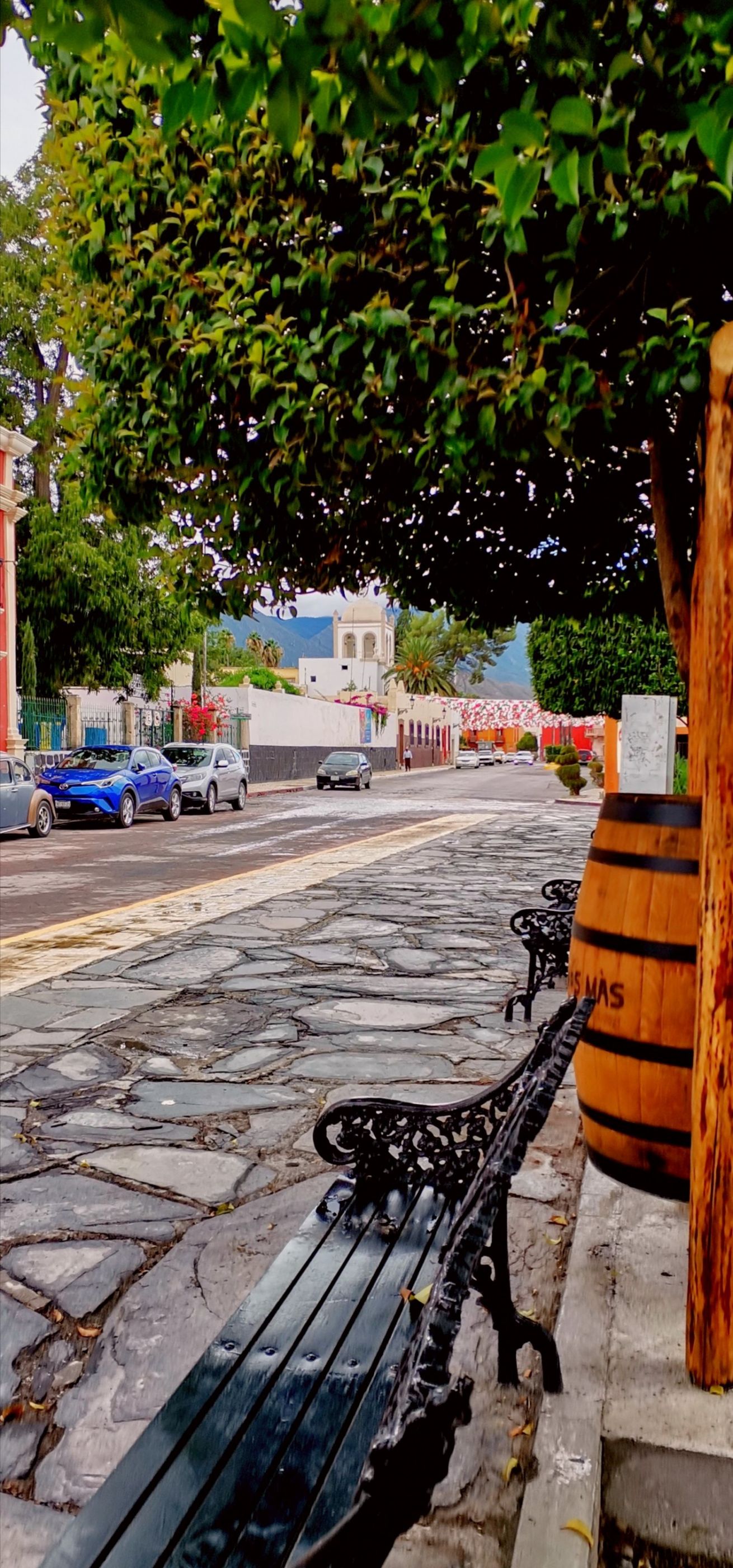 inbound2856894222400078865