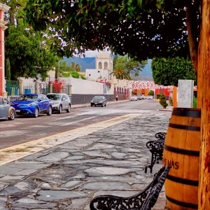 inbound2856894222400078865