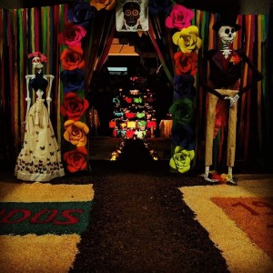 inbound5902247953185198747