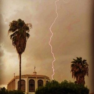 inbound2011409545806732143