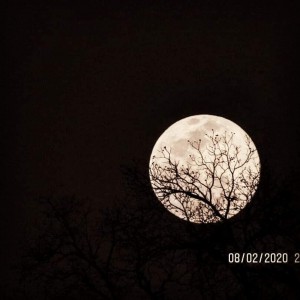 inbound5209953248371197219