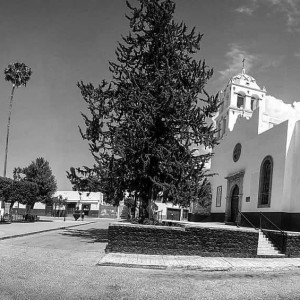 inbound4639735845705309735