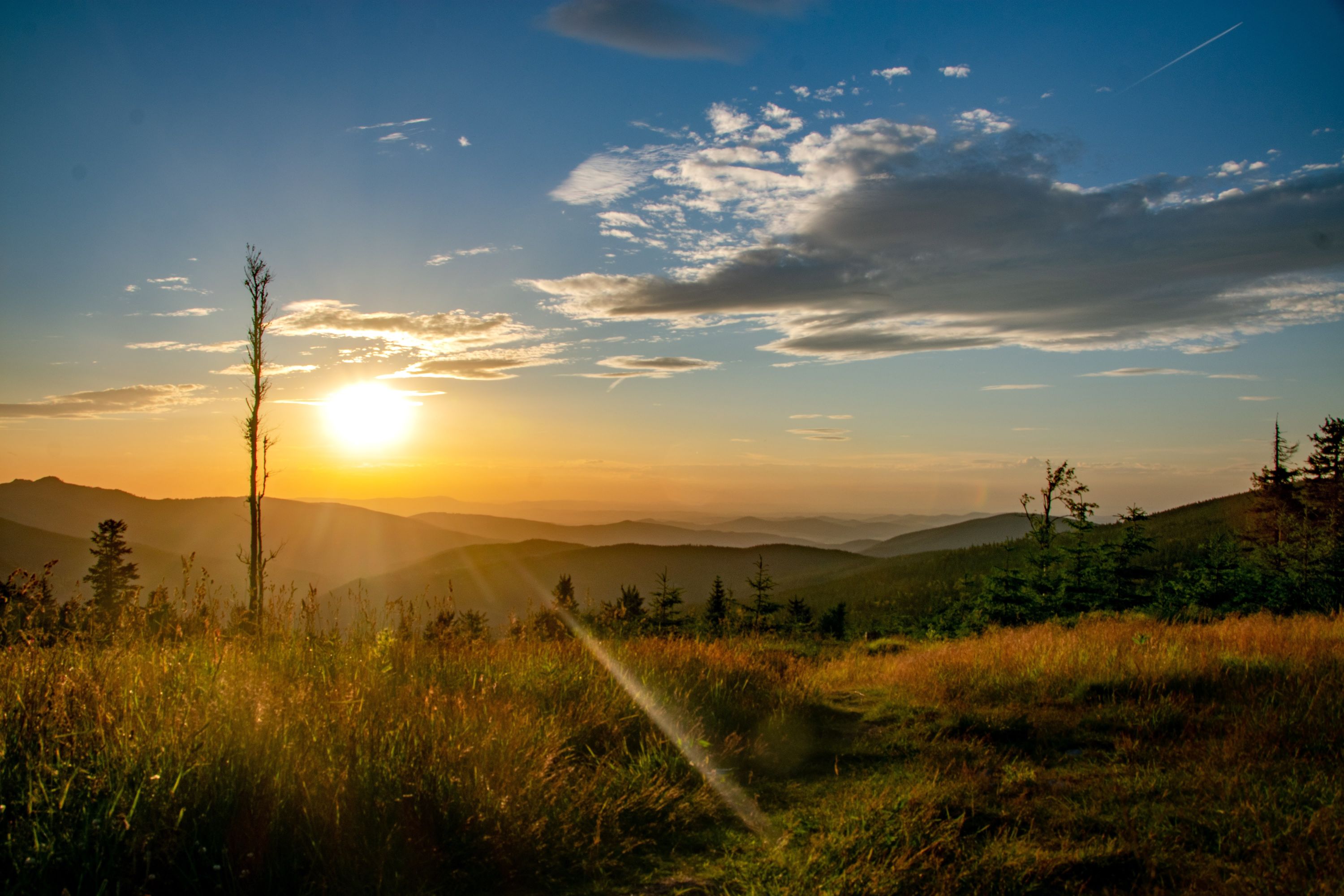 Šumava