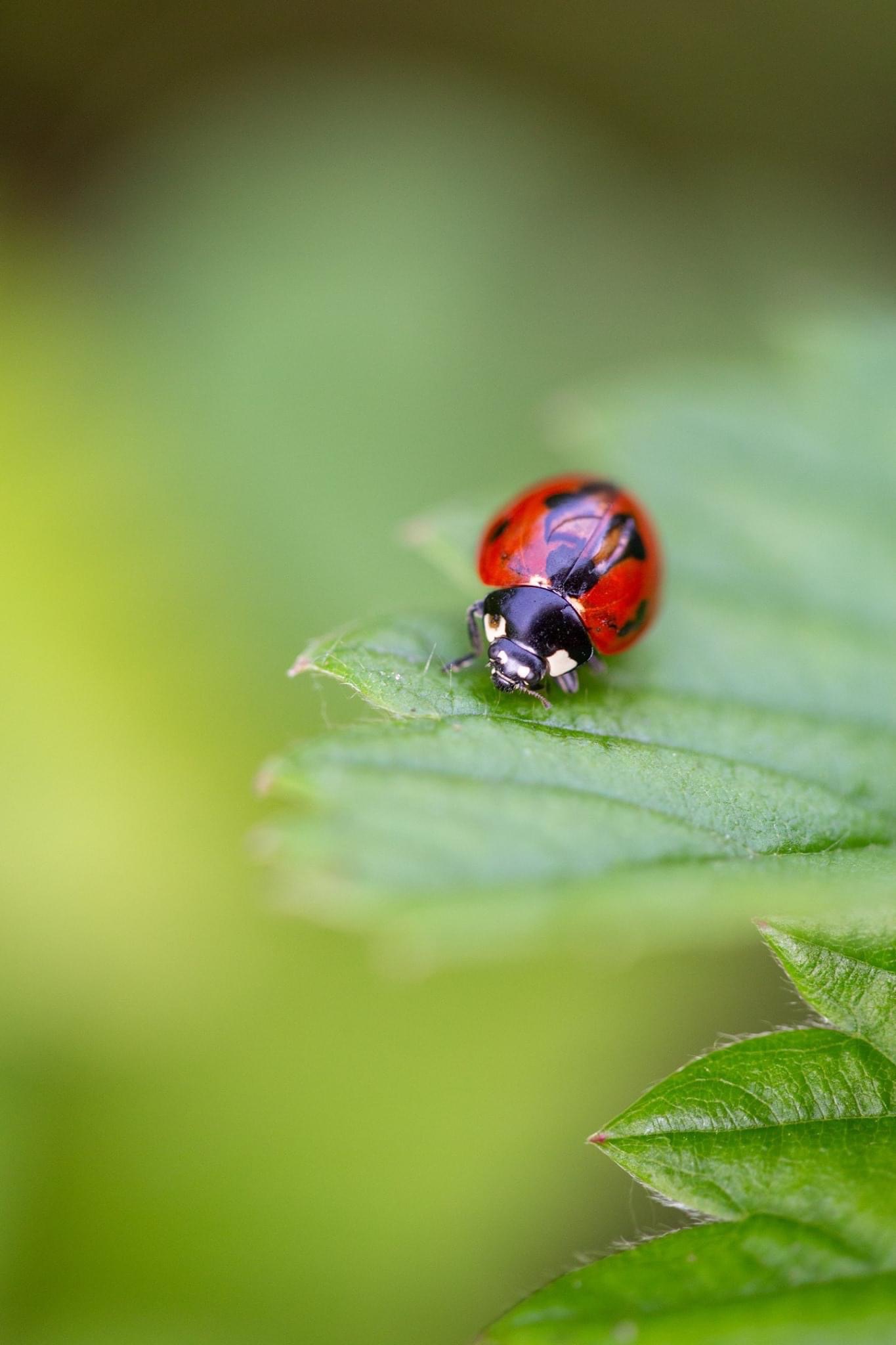 87B3289F-76EE-452A-A325-744DC981A4FC