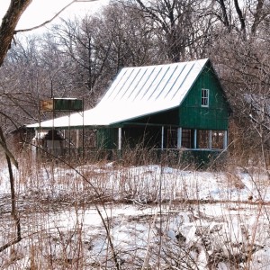 Cabin in the forest