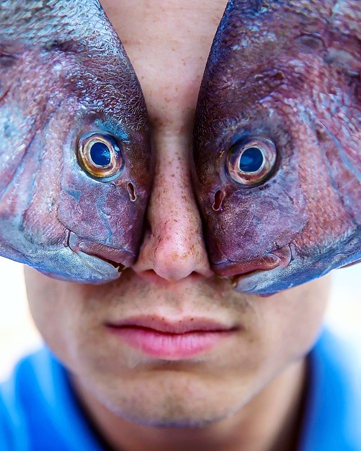 inbound5383891265913803492