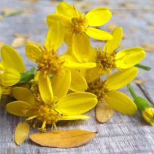 IMG_20200519_141055_057