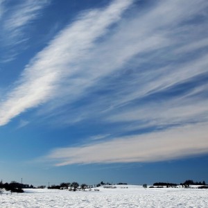 _DSC0373