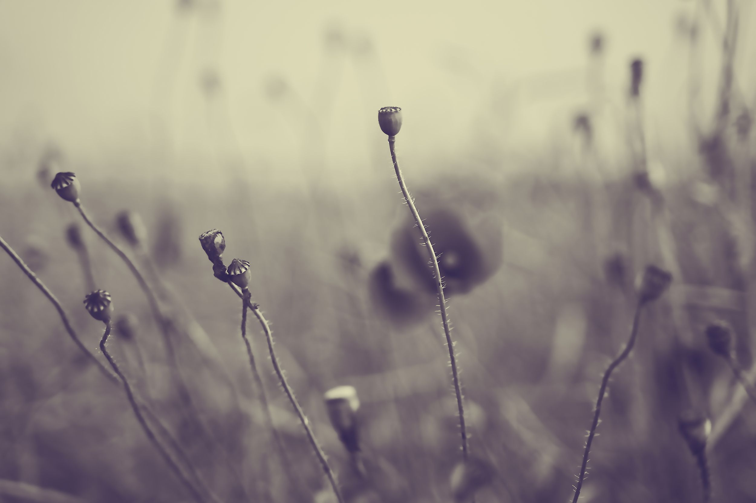 inbound1328599823437083610