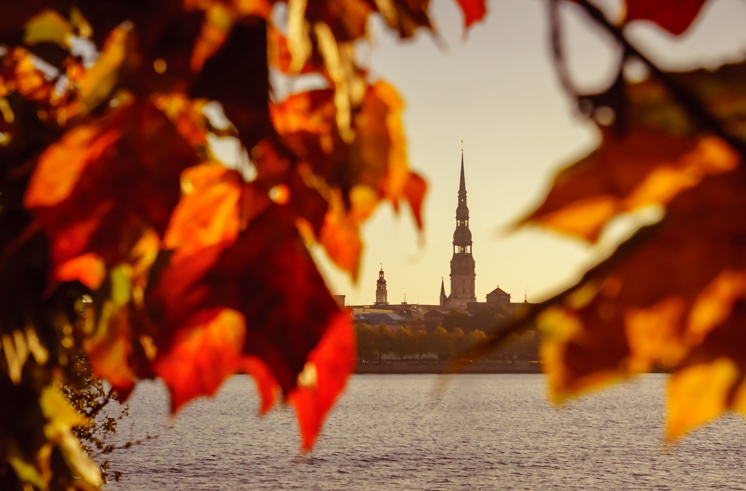 autumn in the city