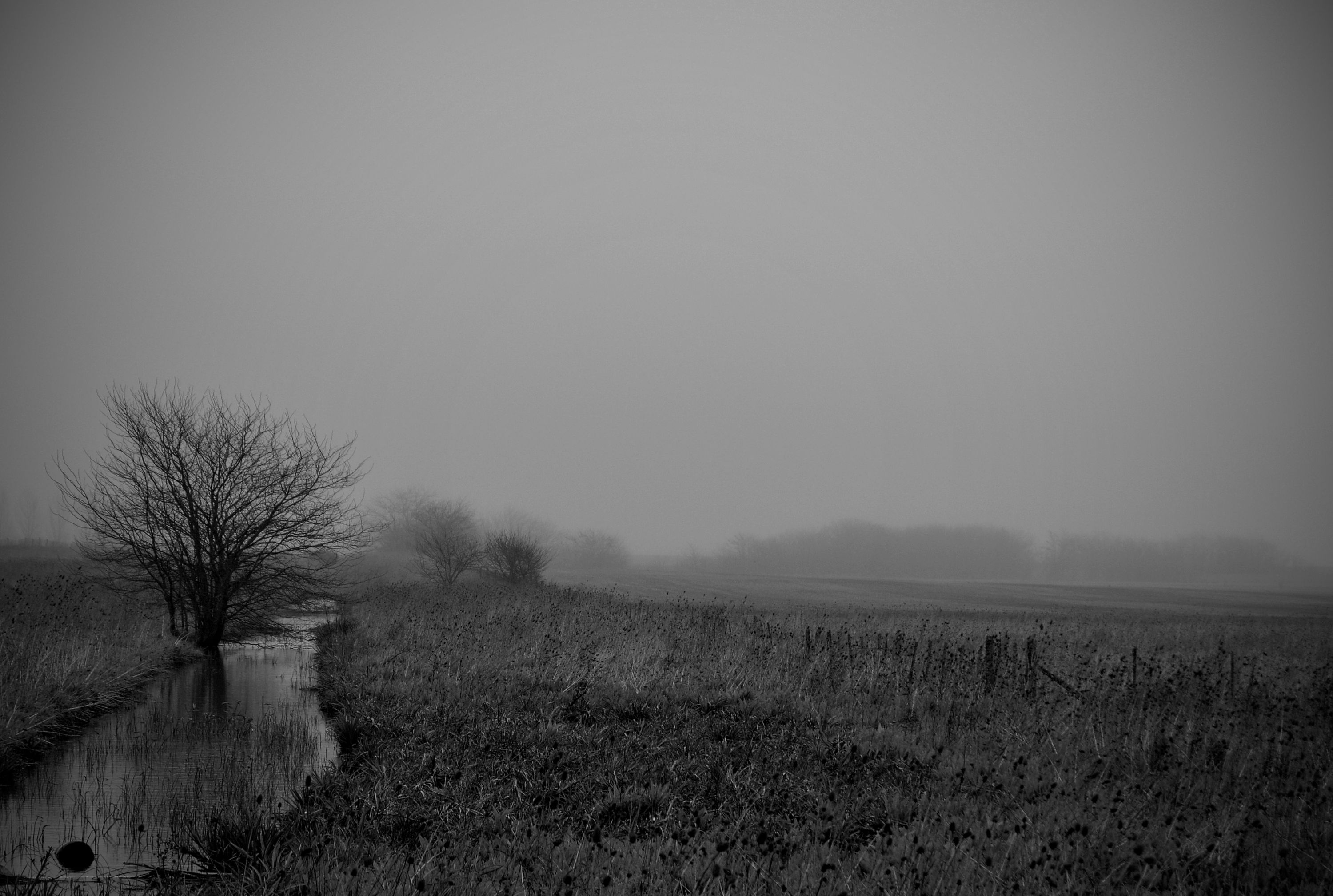 Niebla en Arrecifes