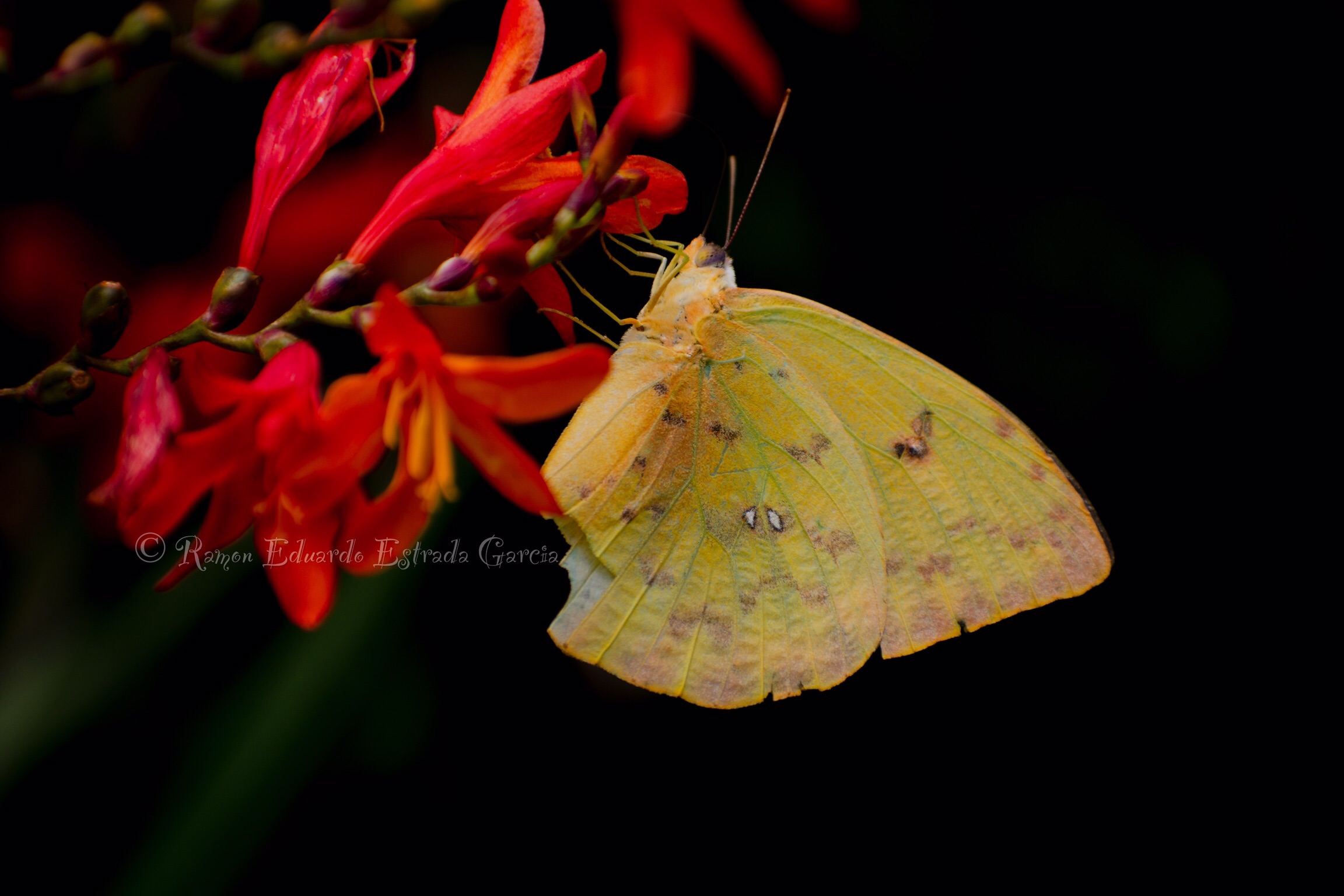 85A71CED-F390-4A06-978E-C6F97324EC81