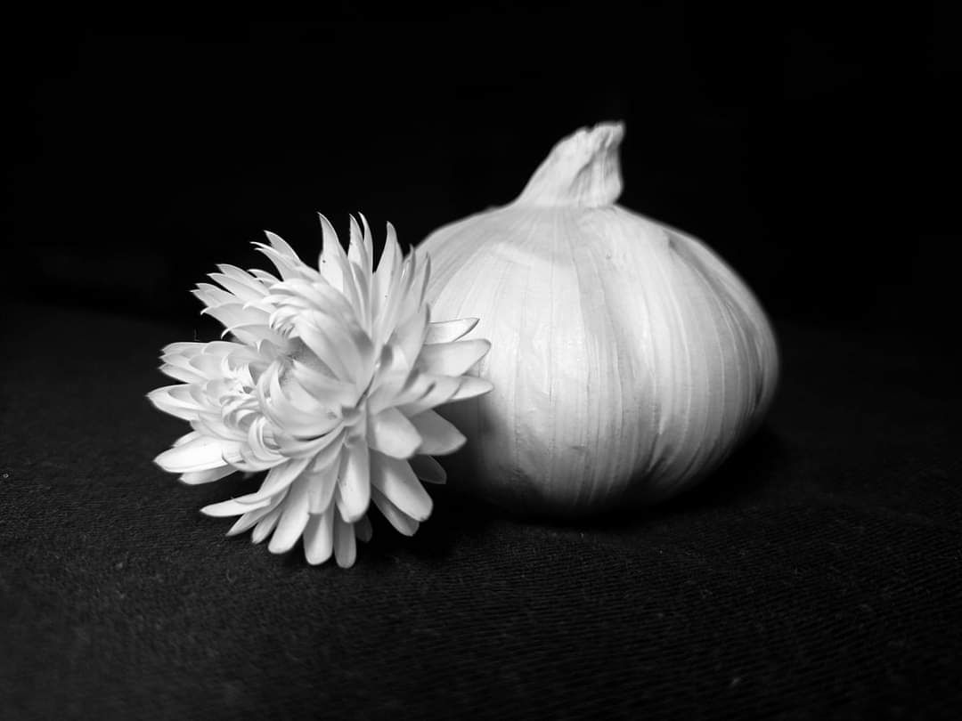 FB_IMG_1614875570706