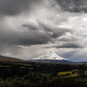 Después de la tormenta